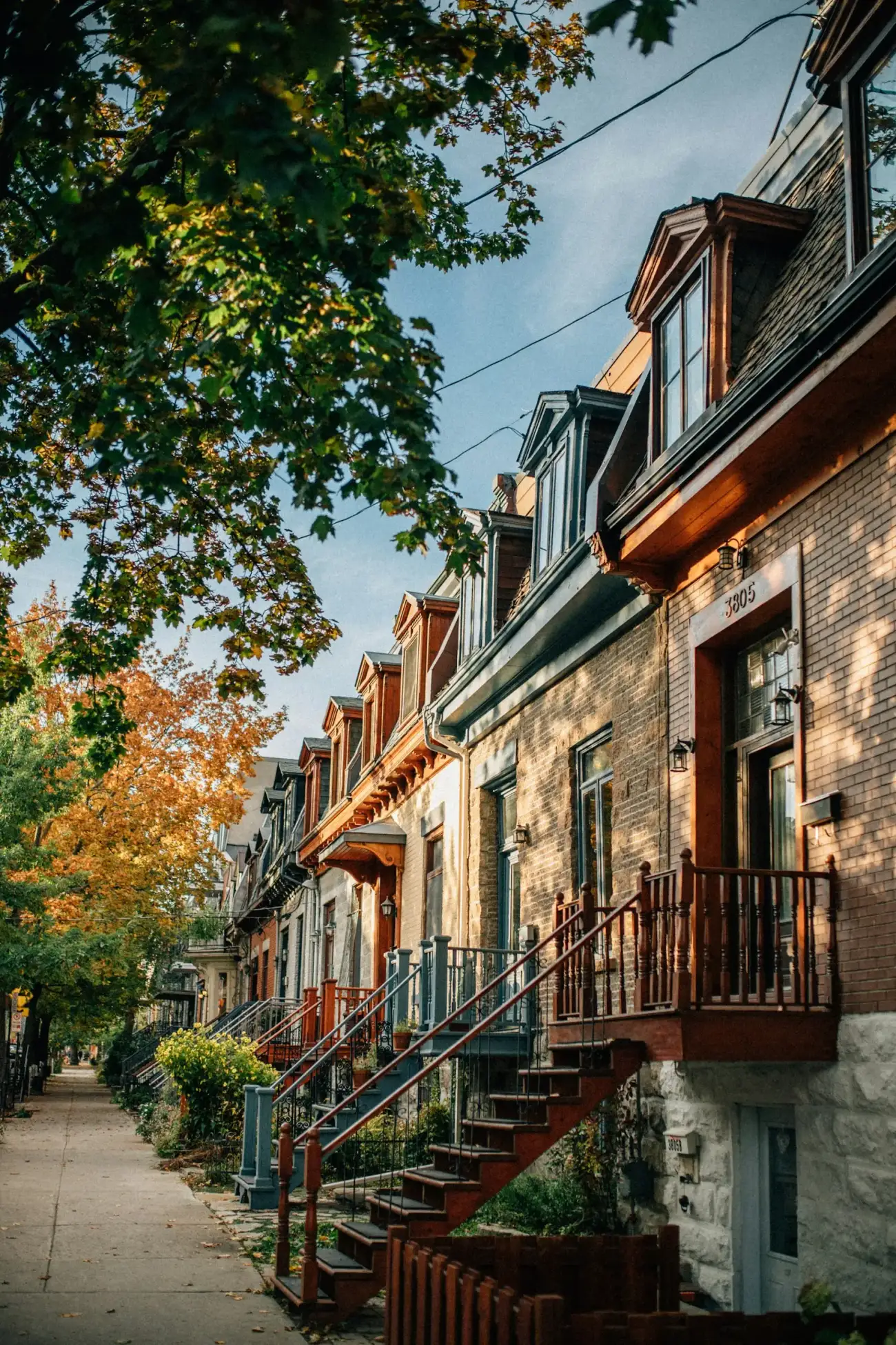 A row of brown townhouses among trees
